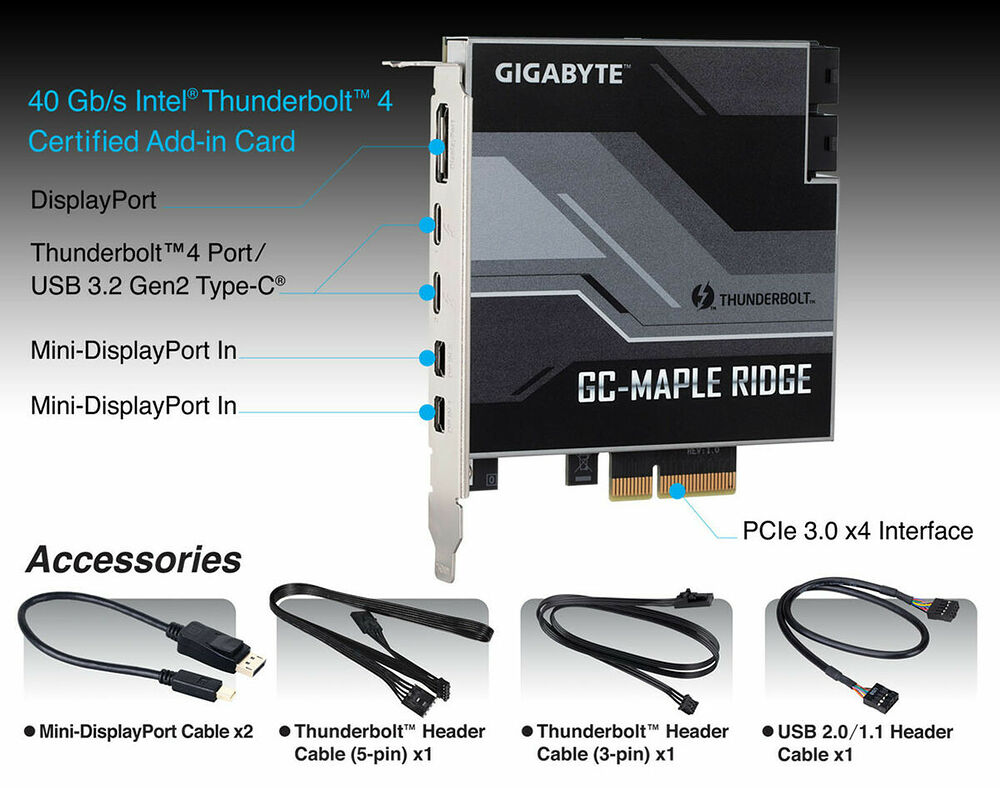 Carte d'extension Gigabyte GC-Maple Ridge avec ports Thunderbolt 4, DisplayPort et Mini-DisplayPort. L'image présente également les accessoires inclus : deux câbles Mini-DisplayPort, deux câbles Thunderbolt et un câble USB 2.0/1.1.