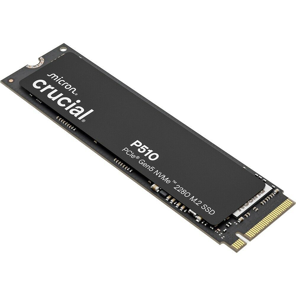 Crucial P510 1 To