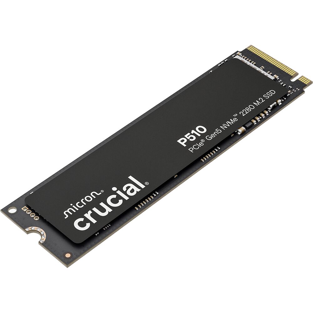 Crucial P510 1 To