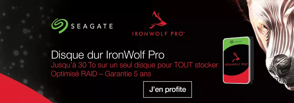 Seagate Ironwolf Pro