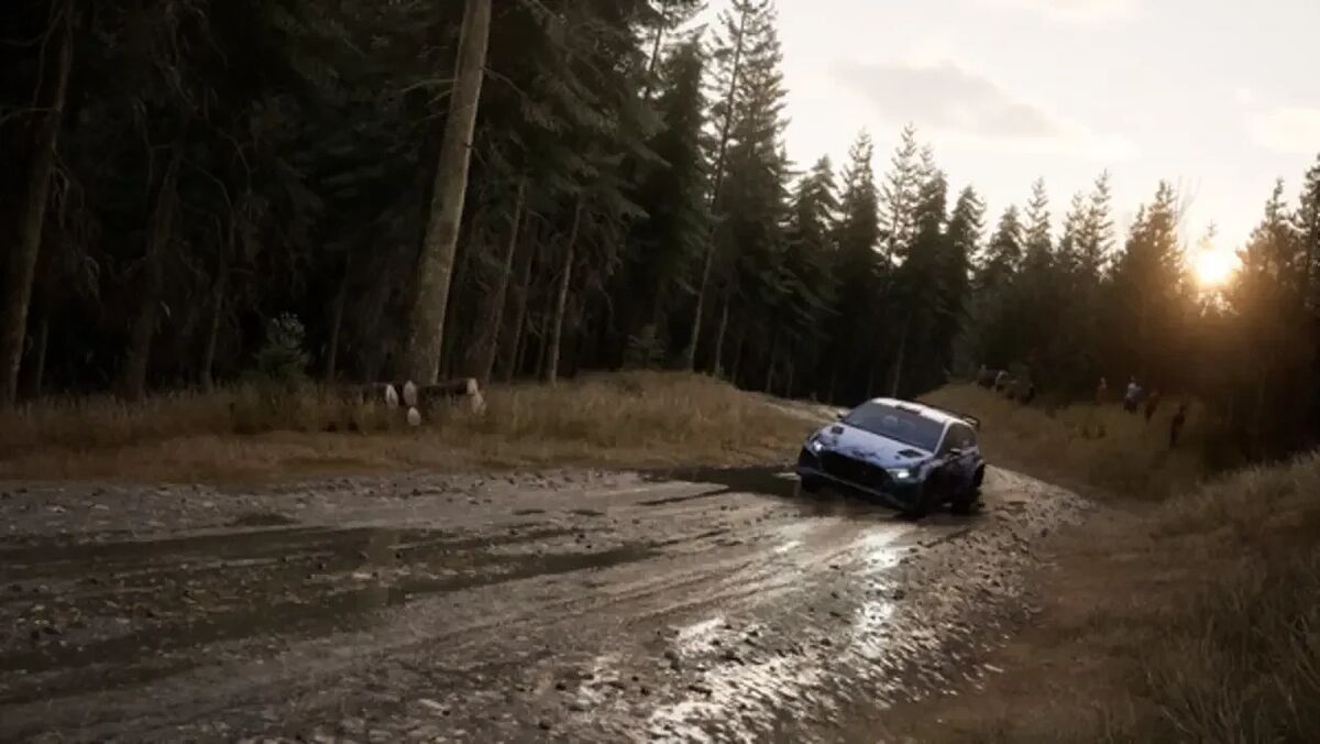 Screen Assetto Corsa Rally
