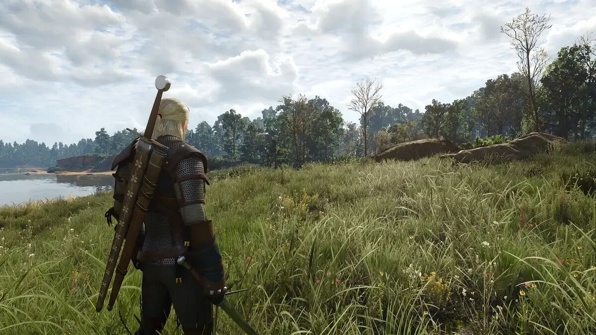 Screen The Witcher 3