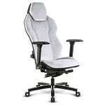 158.00 € de remise sur Quersus ICOS 2.2 - Silver Cat