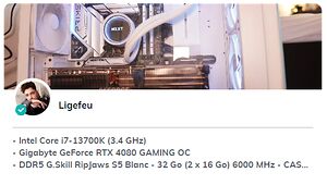 Setup Ligefeu