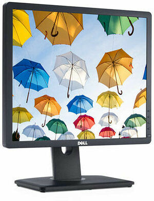 Dell P1913SF (reconditionnÃ©) (image:1)