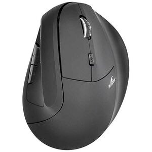 Souris bureautique