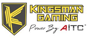 KINGSMAN GAMING VERTEX RGB Noir - 16 Go - 6000 MHz - CAS 38 (Version Bulk) (picto:1839)