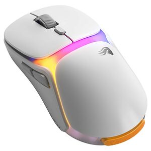 Souris Gamer
