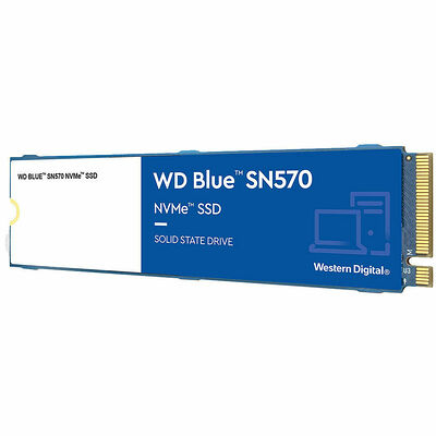Western Digital WD Blue SN570 500 Go