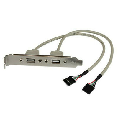 Startech Câble adaptateur 2 x USB interne vers 2 x USB externe - 28 cm