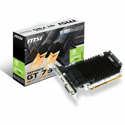 MSI GeForce GT 730 2GD3H/LP (2 Go)