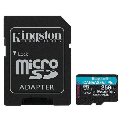 Kingston Canvas Go! Plus - Micro SDXC - UHS-I V30 A2 - 256 Go