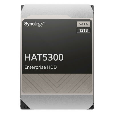 Synology HAT5300 12 To