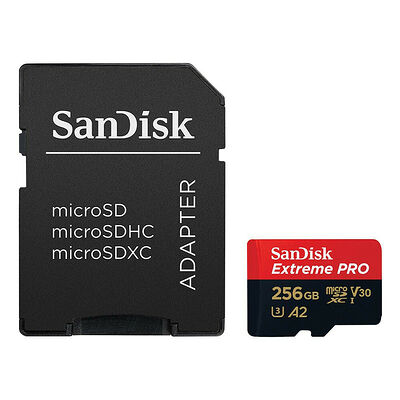 SanDisk Extreme Pro - Micro SDXC - UHS-I V30 A2 - 256 Go