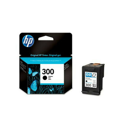HP 300 Noir (CC640EE)