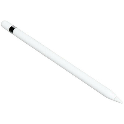 Apple Pencil Blanc (2017)