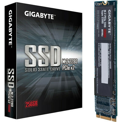 Gigabyte PCIe SSD, 256 Go, M.2