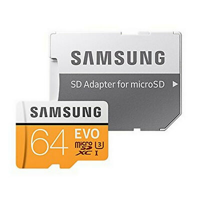 Carte Mémoire Micro SDXC EVO Samsung 64 Go - Classe 10