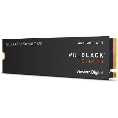 WD_ BLACK SN770 250 Go