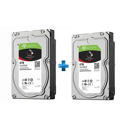 Lot de 2 disques durs Seagate IronWolf 6 To