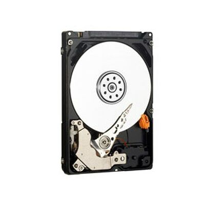 Disque dur Western Digital WD3200BUCT, 320 Go