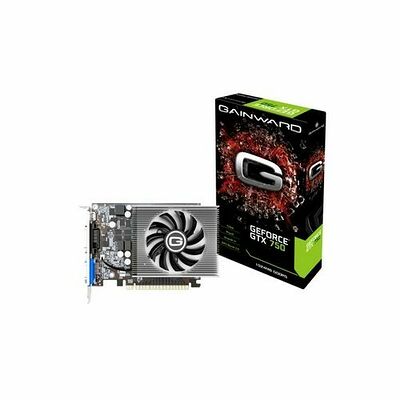 Gainward GeForce GTX 750, 1 Go