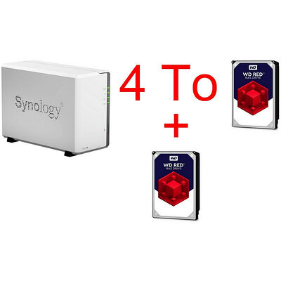 Synology DS218J + 2 x Western Digital WD Red 2 To
