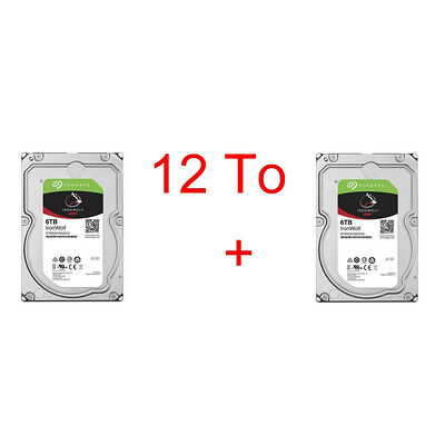 Lot de 2 disques durs Seagate IronWolf 6 To