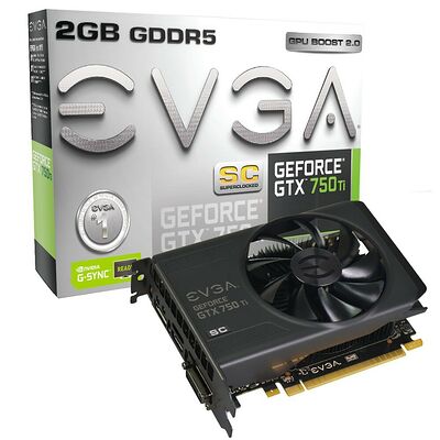 EVGA GeForce GTX 750 Ti SuperClocked GAMING, 2 Go