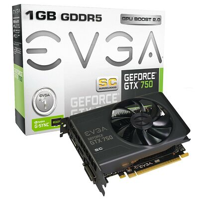Carte graphique EVGA GeForce GTX 750 Superclocked, 1 Go