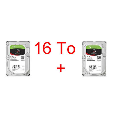 Lot de 2 disques durs Seagate IronWolf 8 To