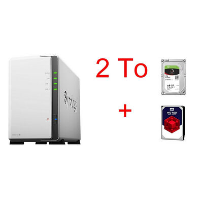 Synology DS218J + Seagate IronWolf, 1 To + Western Digital WD Red, 1 To