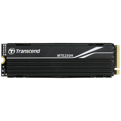 Transcend PCIe SSD 250H 1 To