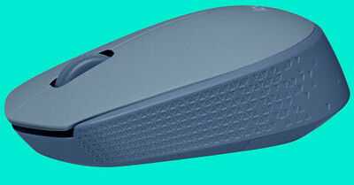 Logitech M171 Wireless Mouse (Bleu Gris) (image:2)