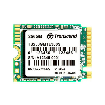 Transcend SSD MTE300S 256 Go
