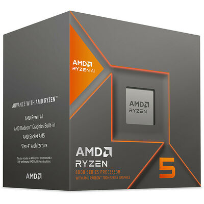 AMD Ryzen 5 8600G (4.3 GHz)
