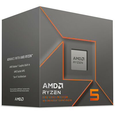 AMD Ryzen 5 8500G (3.5 GHz)
