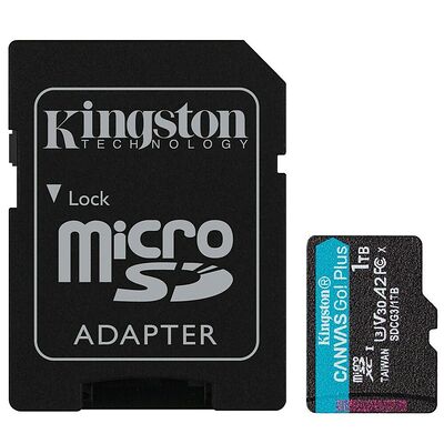 Kingston Canvas Go! Plus - Micro SDXC - UHS-I V30 A2 - 1 To