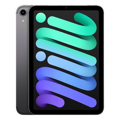 Apple iPad mini (2021) - 64 Go - Wi-Fi - Gris Sidéral