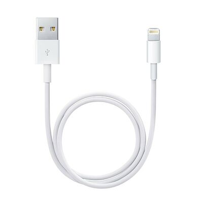 Apple Câble Lightning vers USB Blanc - 0.5 m