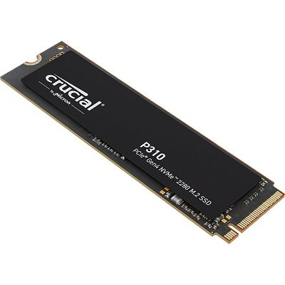 Crucial P310 500 Go