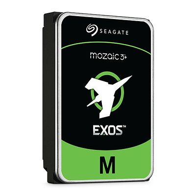 Seagate Exos M 30 To