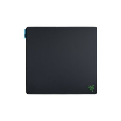 Razer Gigantus V2 Pro - L (Control)