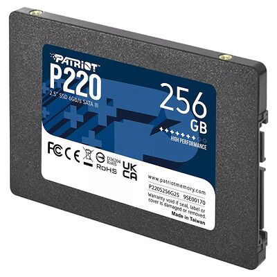 Patriot P220 256 Go