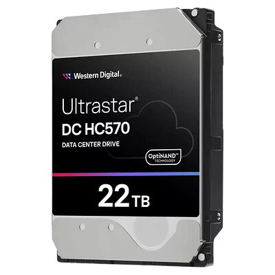 Western Digital Ultrastar DC HC570 22 To