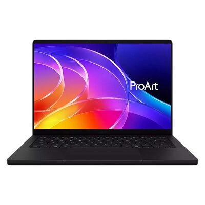 Asus ProArt P14 (H7407BA-DISM04X)