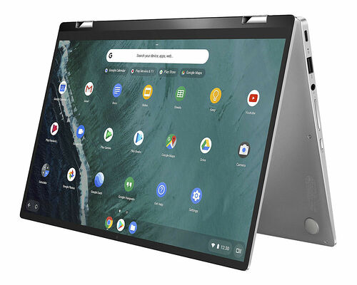 Asus Chromebook Flip C434 (C434TA-AI0030) Argent