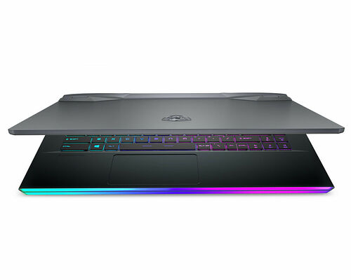 MSI GE66 Raider (11UH-219FR)