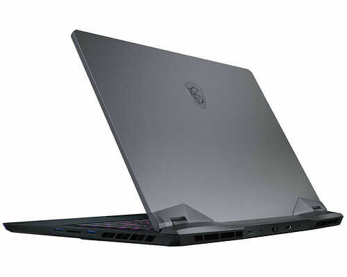 MSI GE66 Raider (11UH-219FR)