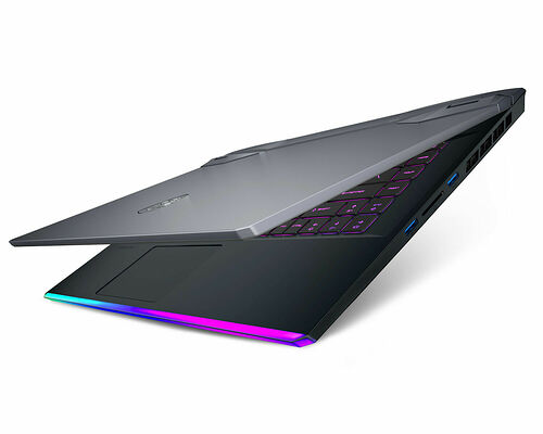 MSI GE66 Raider (11UH-219FR)